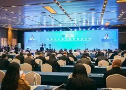  亚洲杯最新形势：波士顿凯尔特人高居榜首，丹佛掘金强势追赶，冠军归属成迷